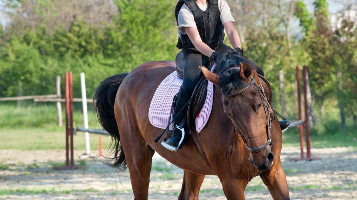 Why Is My Horse Heavy on the Forehand? The Real Reason