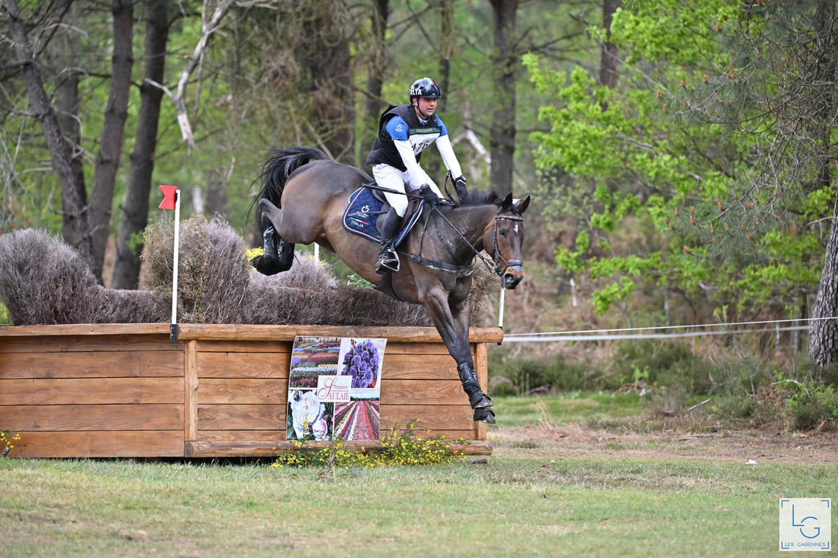 How to Read and Ride Distances: Thinking Your Way to the Fence