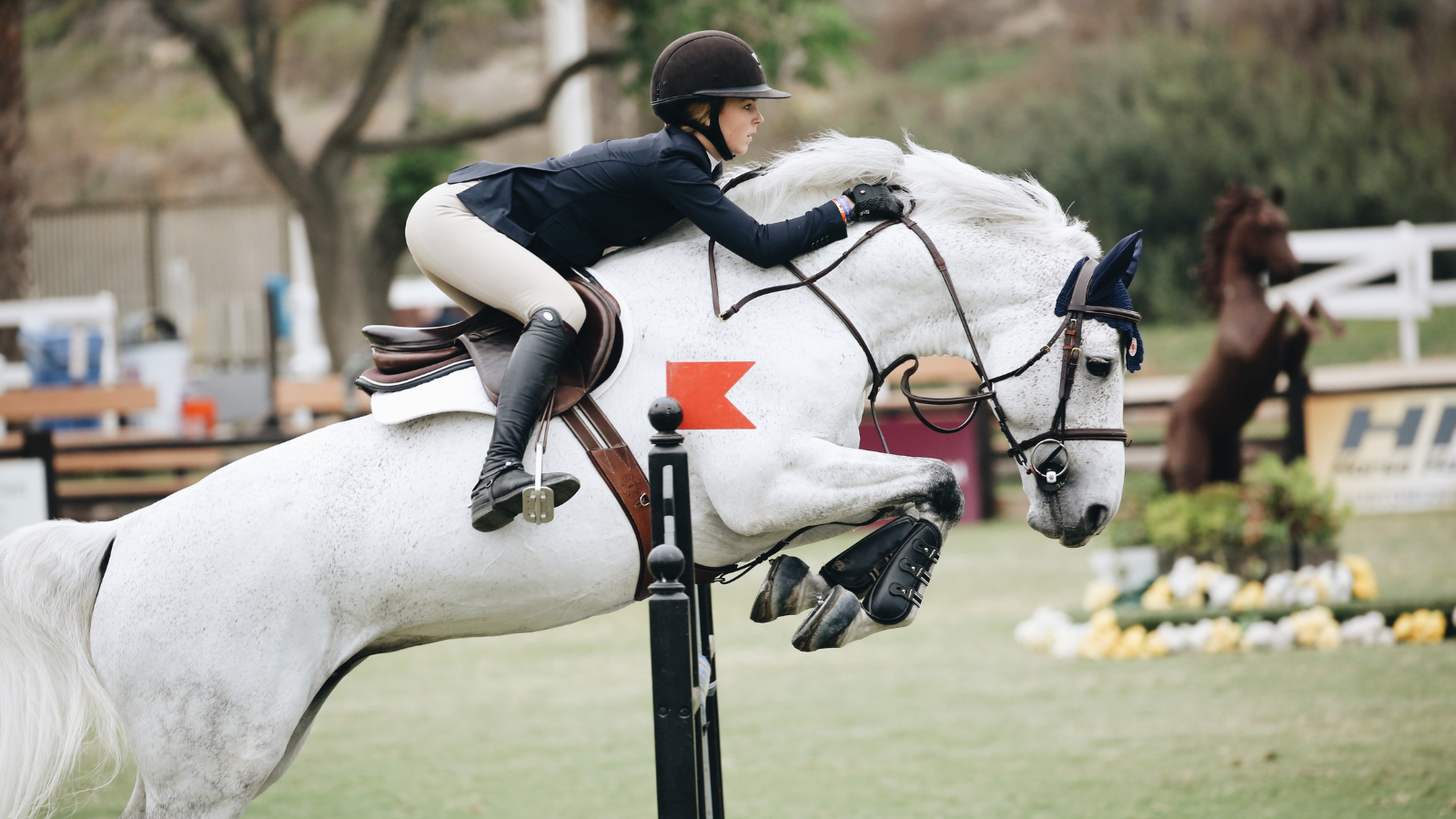 Why Holding the Mane, Not Just the Neck Strap, Fixes Your Balance at a Fence