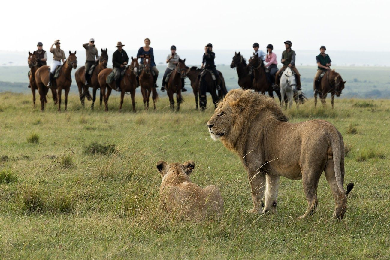 Riders on horseback observing lions in the Masai Mara