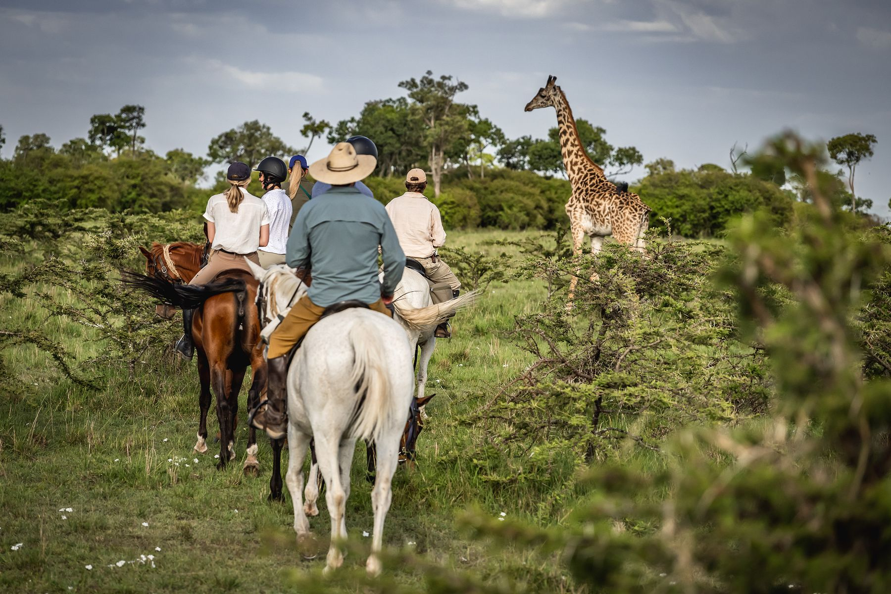 Riders on horseback approaching a giraffe in the Kenyan bush