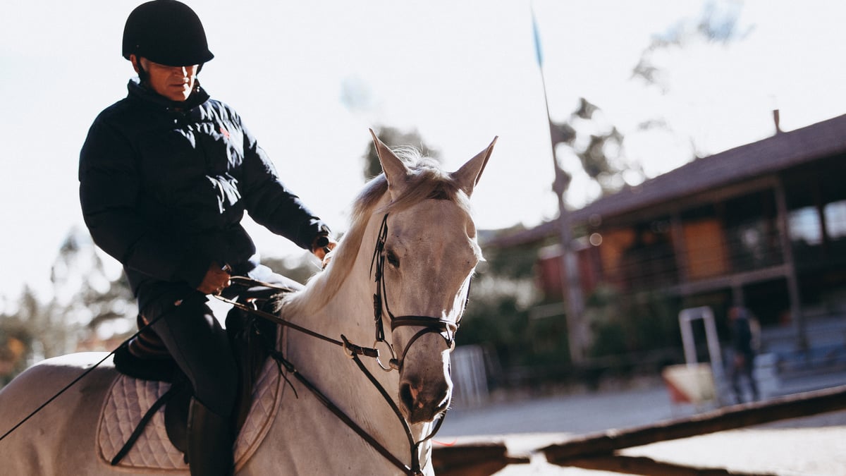 Why Your Horse Leans on the Contact: The Real Reason (And How to Fix It)