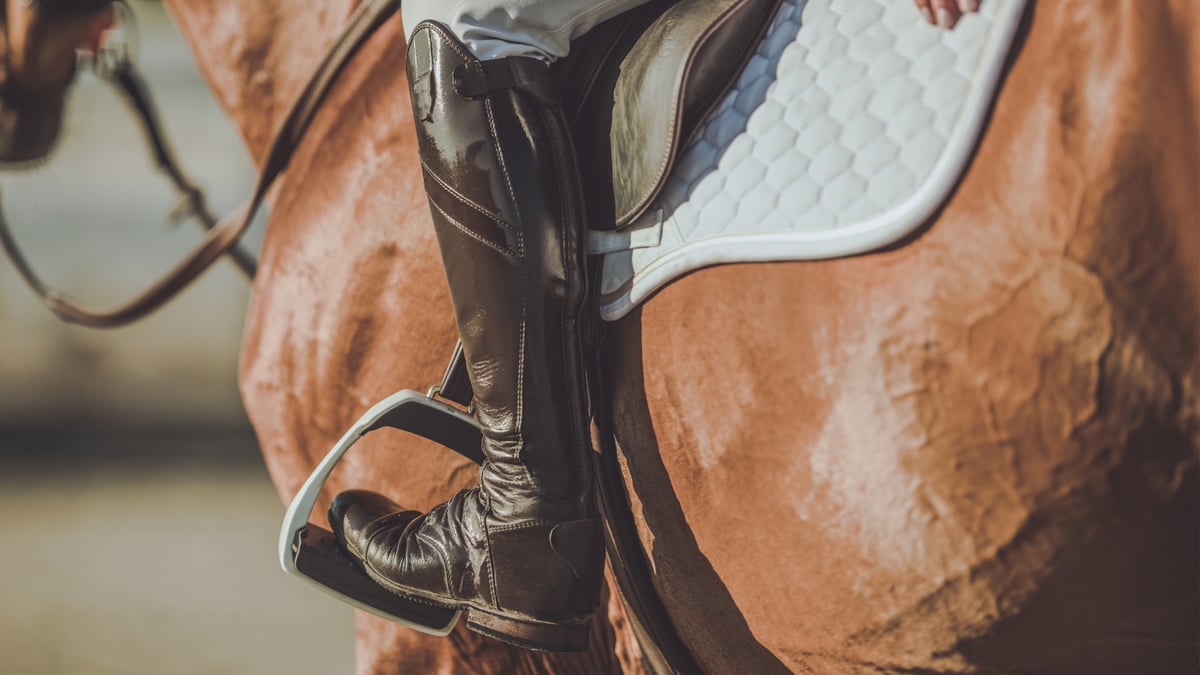 Why Inside Leg Reaction Solves 80% of Flatwork Problems